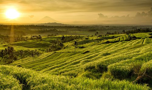 tempat prewedding di bali 