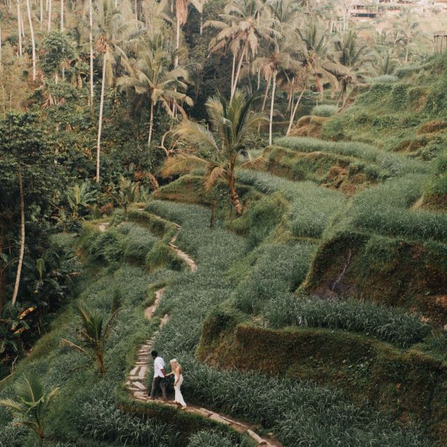 foto prewedding di sawah 